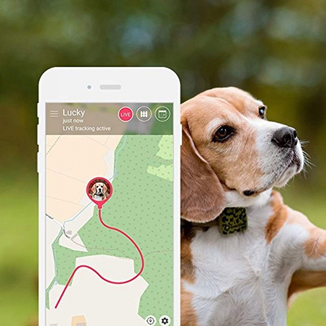 Lokalizator GPS Tractive dla psów i kotów - specjalna edycja myśliwska